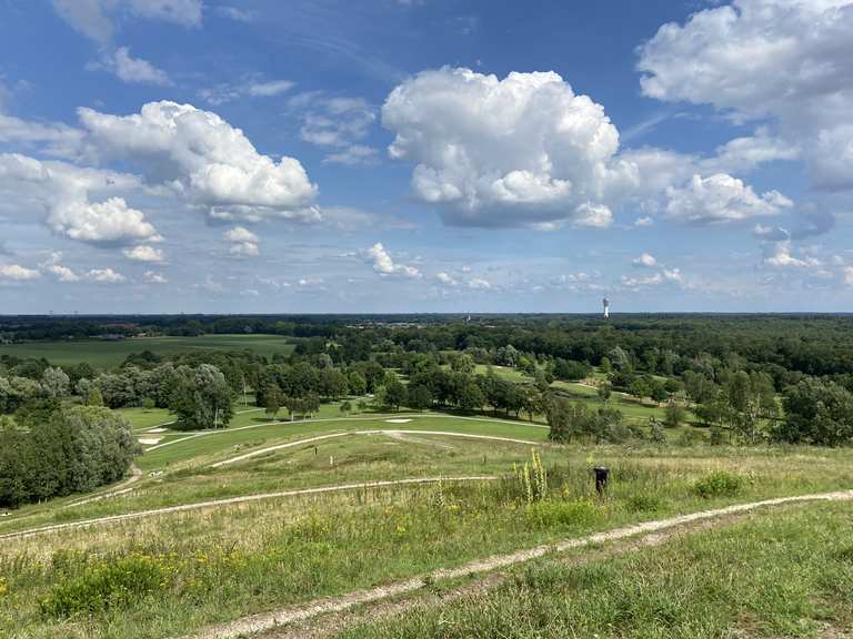 Het Dak van Brabant (De Gulbergen) - Mountain Bike Trails & Tracks | Komoot