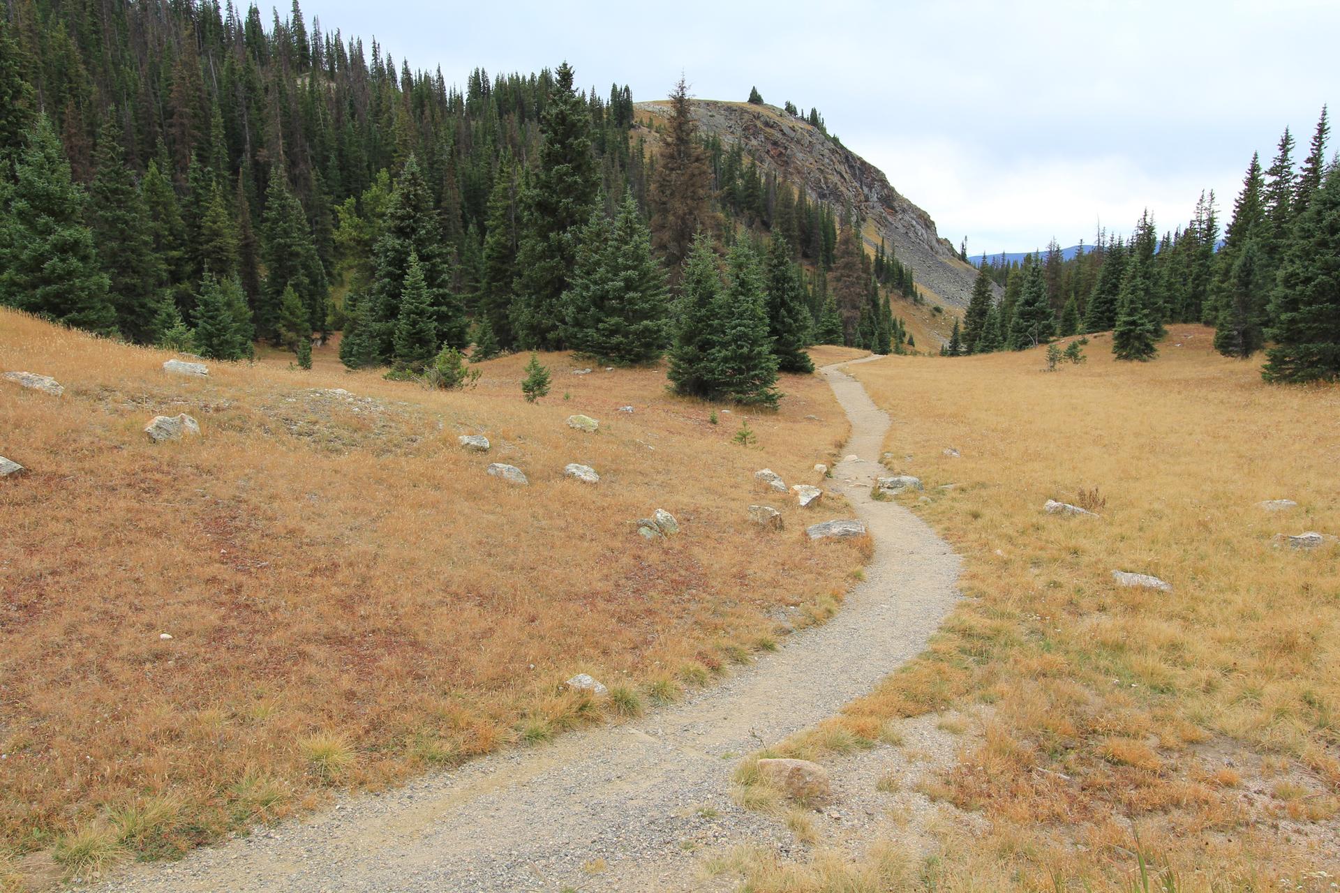 Winding dirt path through a golden grassy field with scattered rocks.