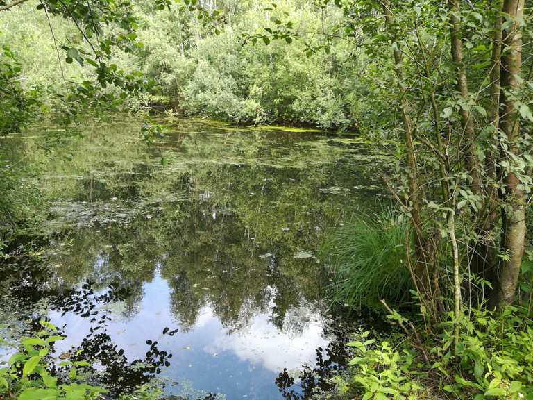 Naturraum „Brögberner Teiche“ Cycle Routes and Map Komoot