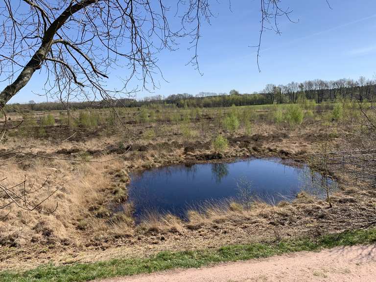 Aussichtsturm Recker Moor : Radtouren und Radwege | komoot