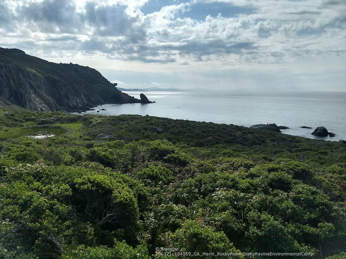 Lush green coastal vegetation and rocky cliffs meet a calm, grey ocean.