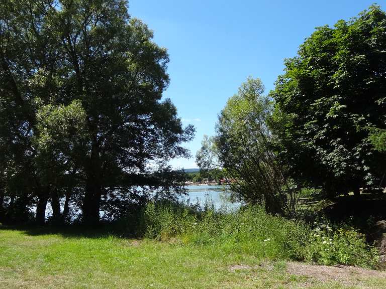 53+ Nieder-Mooser-Teich, 3,12 km in 00:55 std.