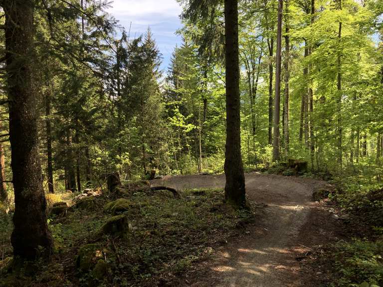 GLKB FLOWTRAIL Glarus: Schwammhöhe-Schleipfen Mountain Bike Trails ...
