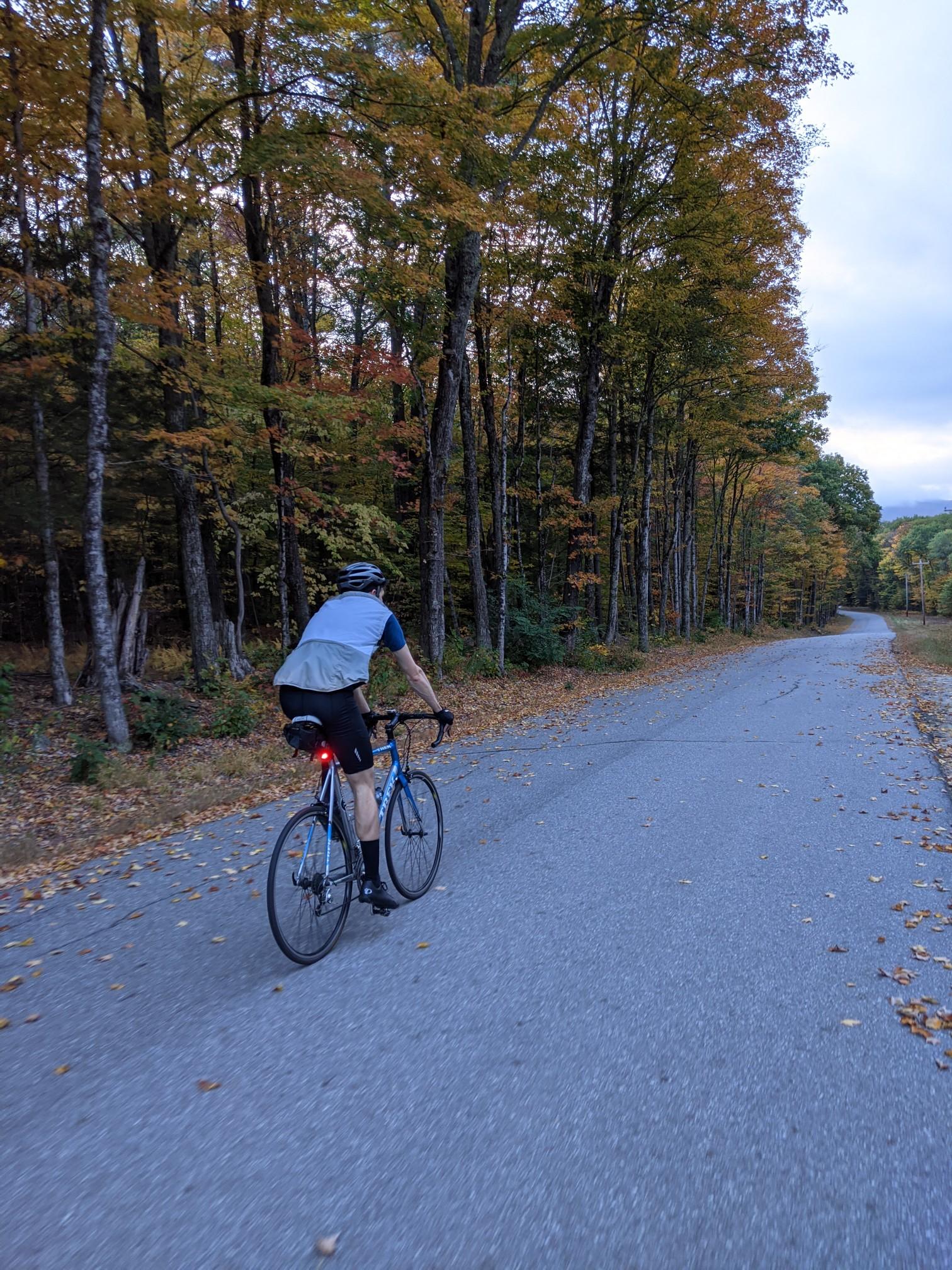 Person cycling on a paved road through autumn trees under an overcast sky.