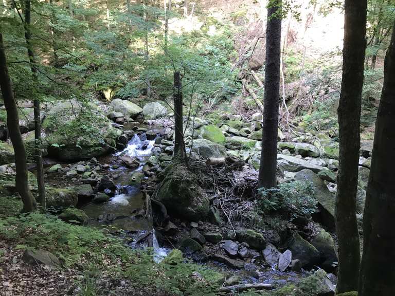 Heinrich Heine Weg: Wanderungen und Rundwege | komoot