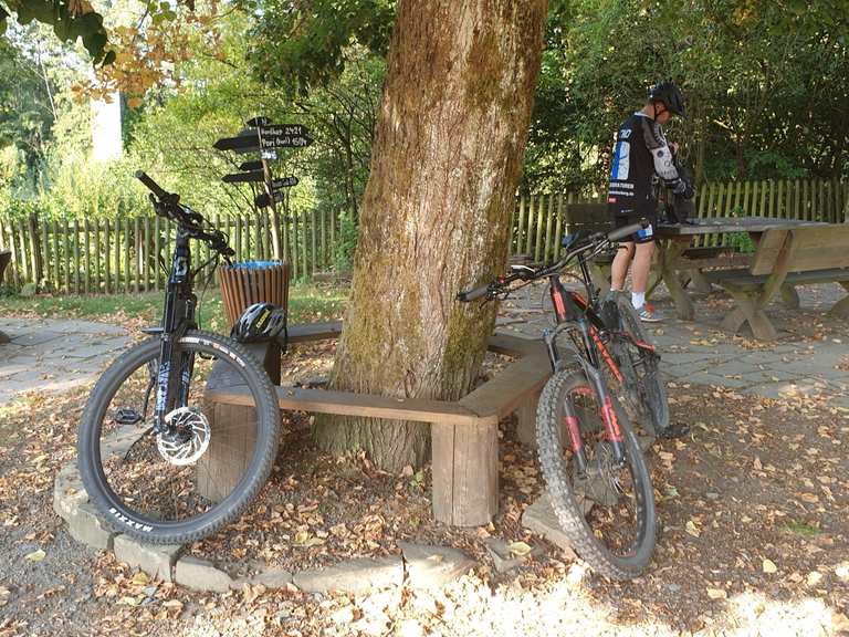 eine acht aus dem hinterrad vom fahrrad bekommen