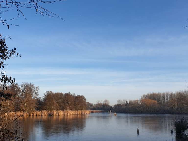 Karower Teiche Wanderungen und Rundwege komoot