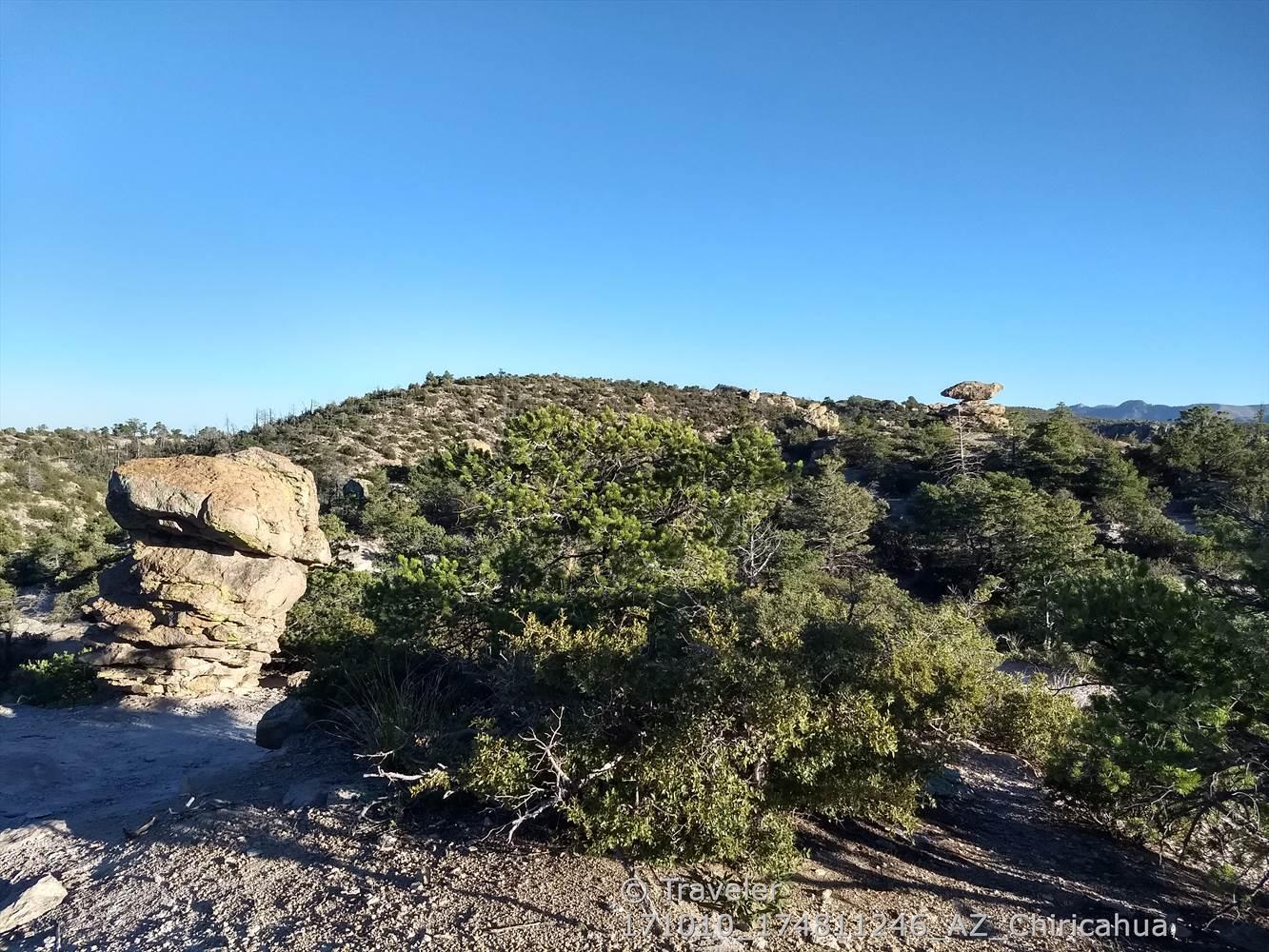 A large stacked rock formation next to green bushes under a clear blue sky.