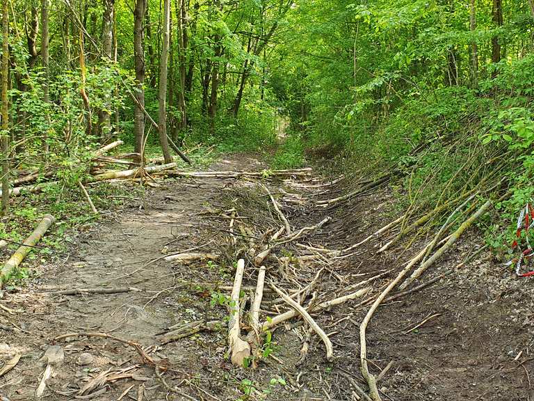 singletrail würzburg