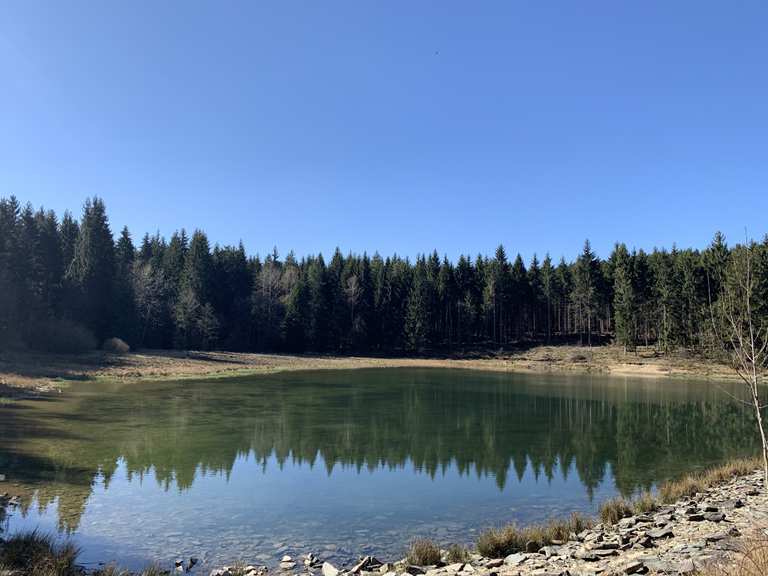 Heiliger Teich (im Moment Baustelle) Wanderungen und Rundwege komoot