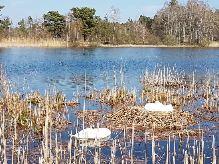 TeichSchleichWege Wanderungen und Rundwege komoot