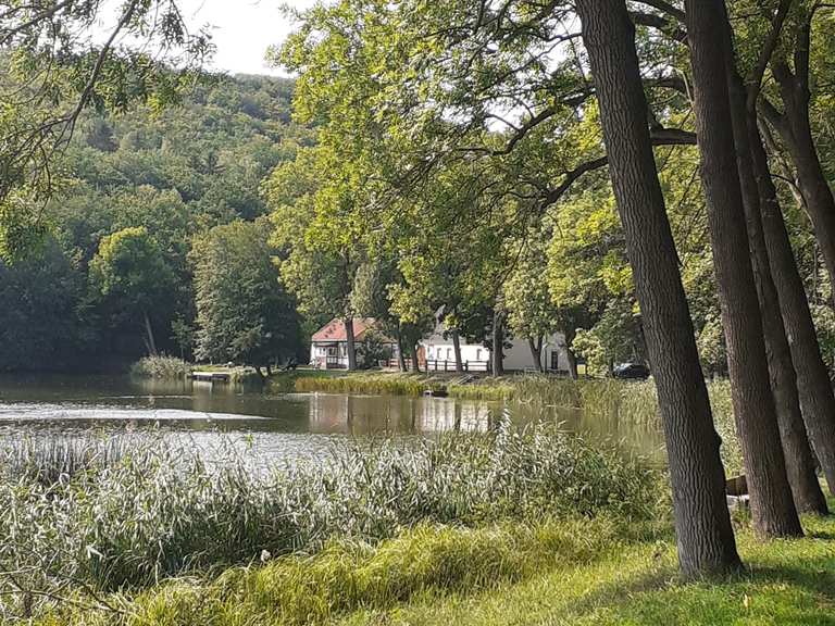 Vatterode Teich Cycle Routes and Map Komoot