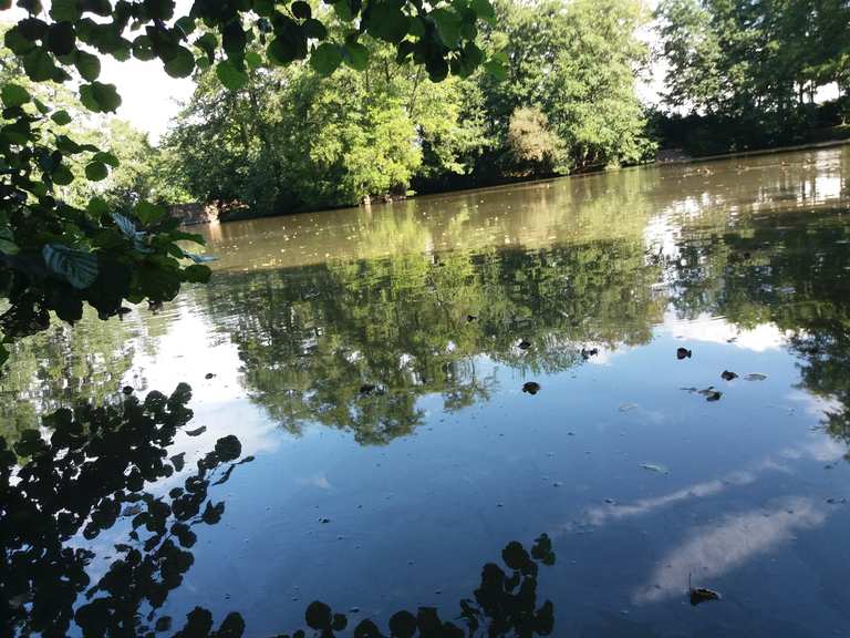 Riedsee Wanderungen und Rundwege komoot
