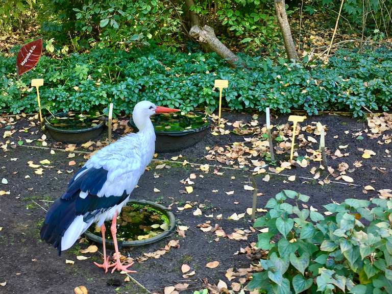 Botanischer Garten Niedersachsen, Deutschland