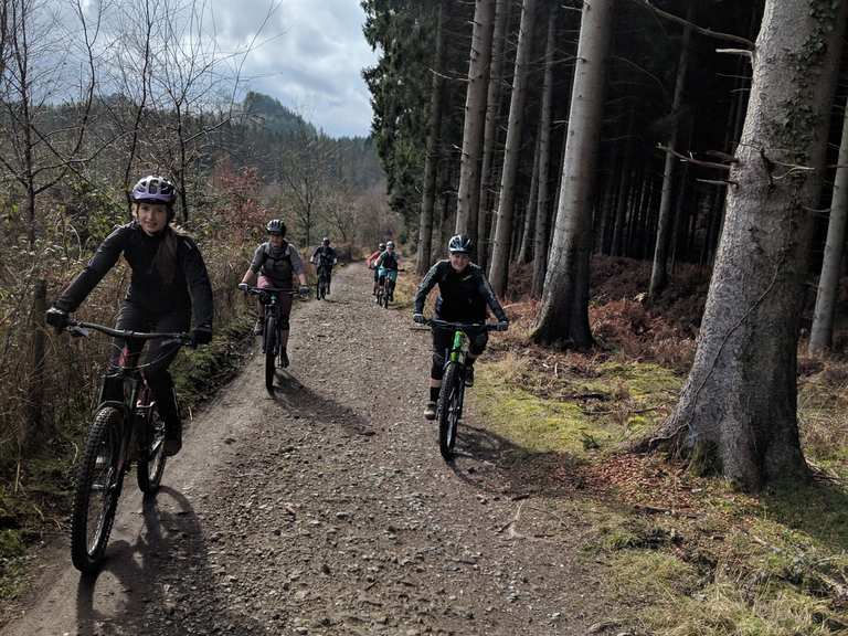 Ski Run and Sheep's Skull DH runs — Forest of Dean MTB trails, mountain  bike ride