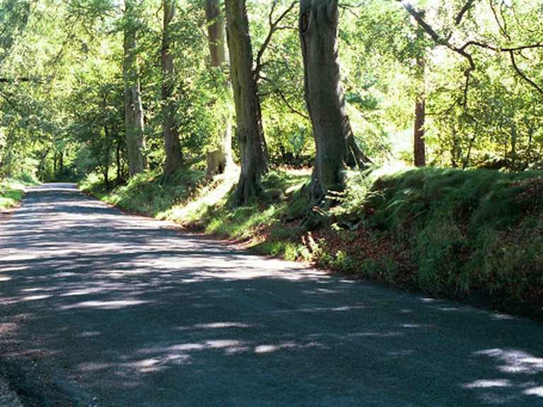 Artists Lane climb Road Cycle Routes and Map Komoot