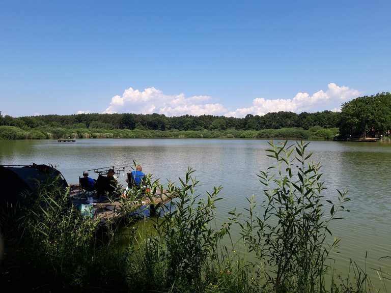 Naturteich Großhart Harter Teich Runde von Bad Waltersdorf