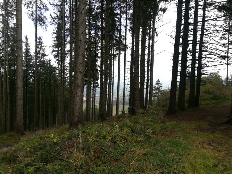 Blender Gipfel Routes for Walking and Hiking Komoot