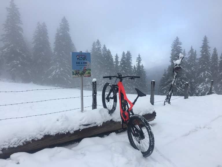 クーポン利用で1000円OFF XCAM BLIZZARD - 通販 - afeias.com