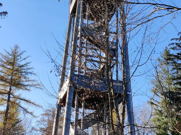 Chutzeturm Seeland Schweiz Bern Wandertipps Fotos Komoot