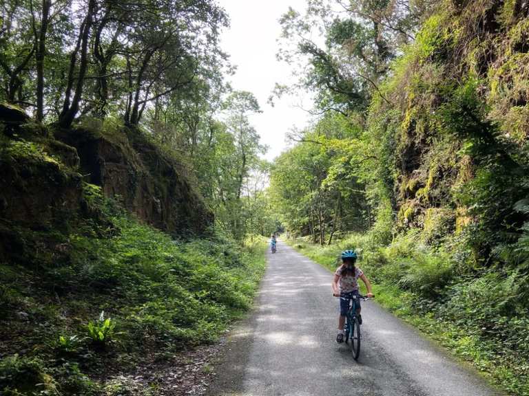 Plym valley deals cycle trail