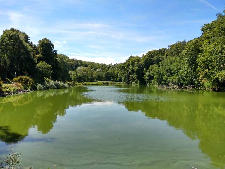 WarndtWaldWeg wandern im Saarland Wanderung Komoot