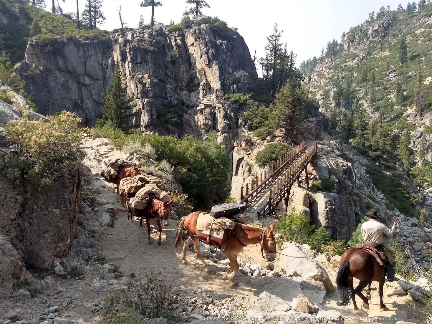 A man rides a mule, leading pack mules up a rocky mountain trail.