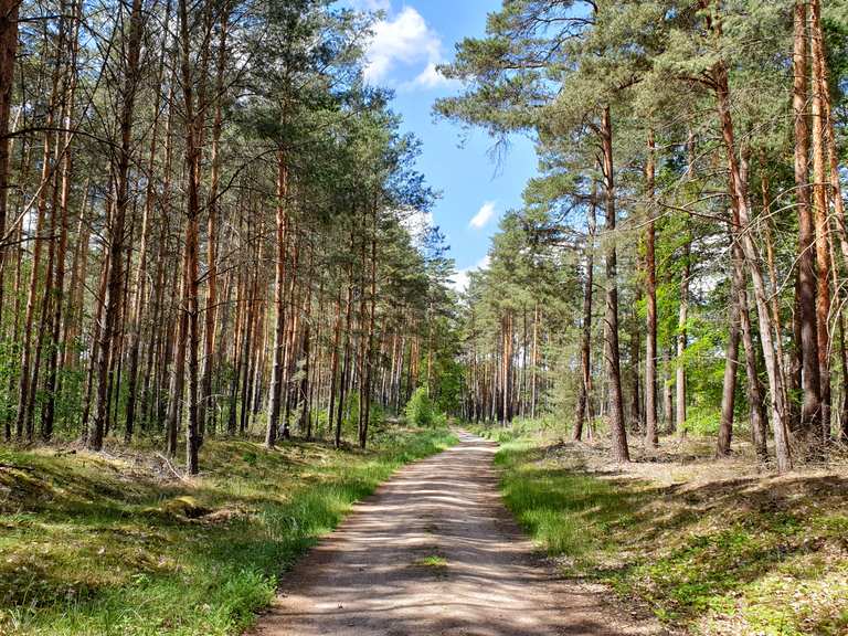 Cycle path along the Havel Canal Beautiful cycle path along the Havel