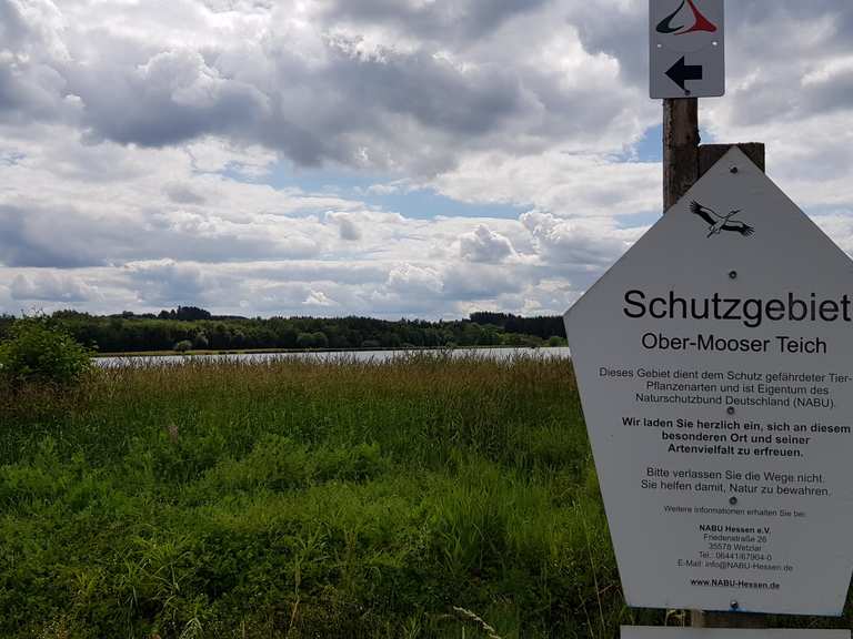 OberMooser Teich Aussicht auf OberMoos Runde von NiederMoos