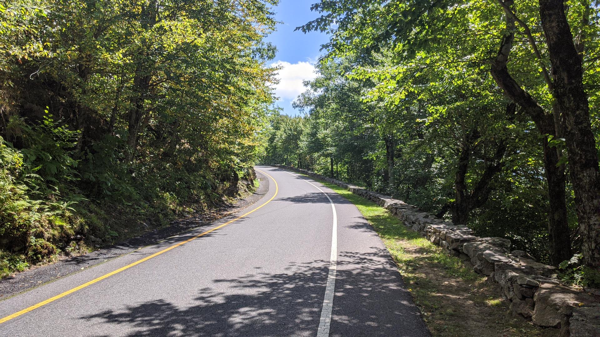 A sunlit paved road winding through a dense green forest.
