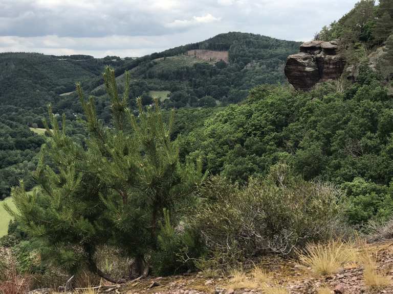 Naturschutzgebiet Buntsandstein Wanderungen und Rundwege komoot