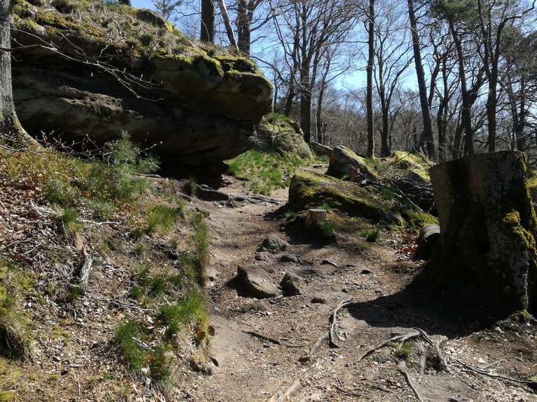 Drachenfels Lambertskreuz Runde Von Galgental Wanderung Komoot