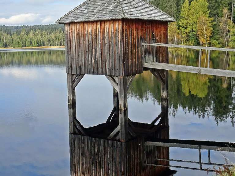 Rosenhofer Teiche Wanderungen und Rundwege komoot