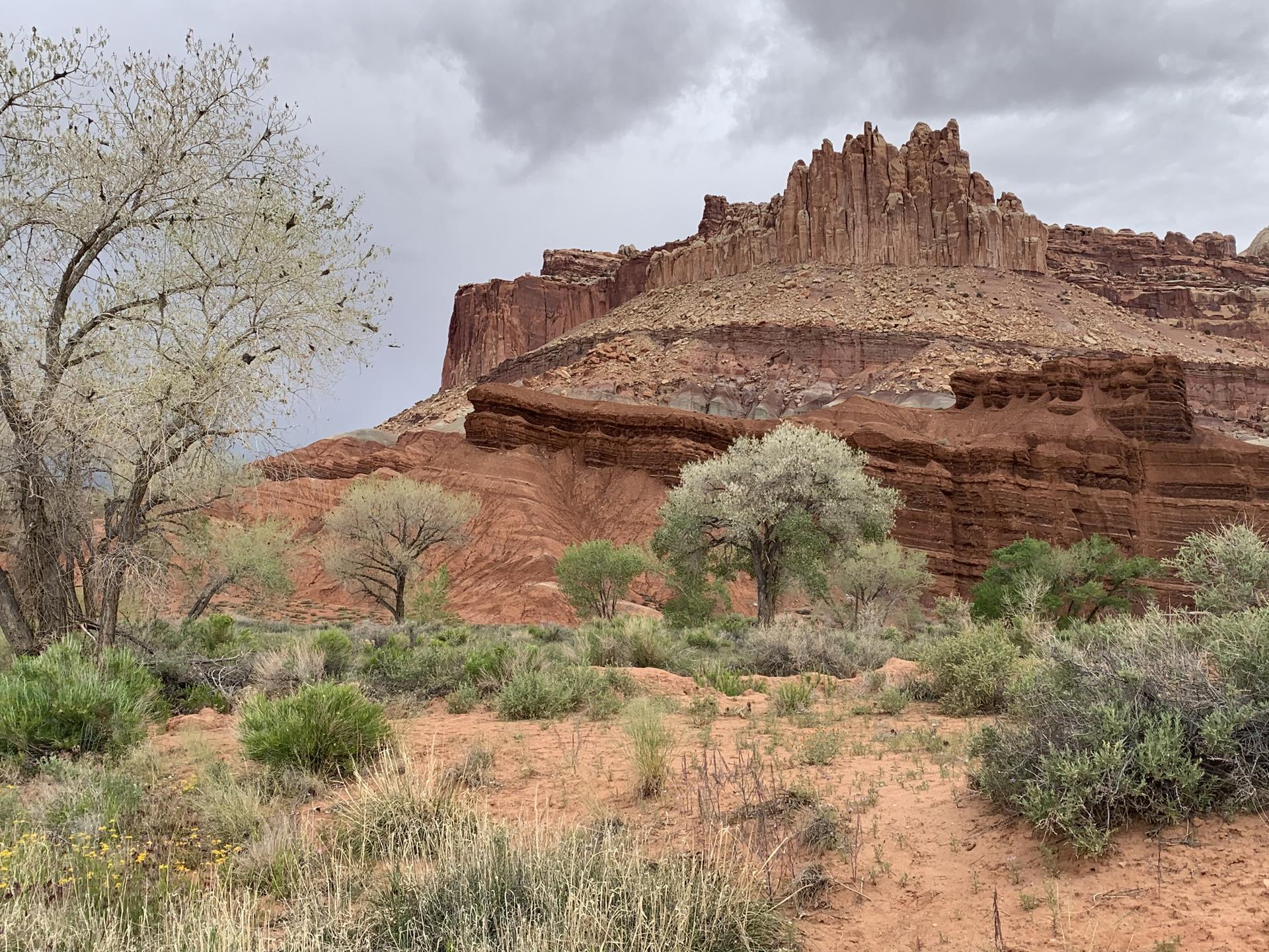 Dramatic red rock formations and desert shrubs under a cloudy sky.