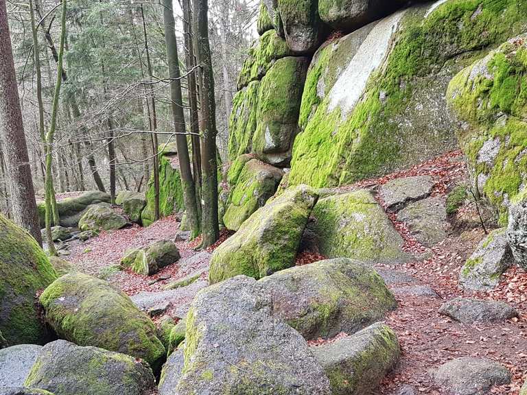 Höllbachtal Wanderungen und Rundwege komoot