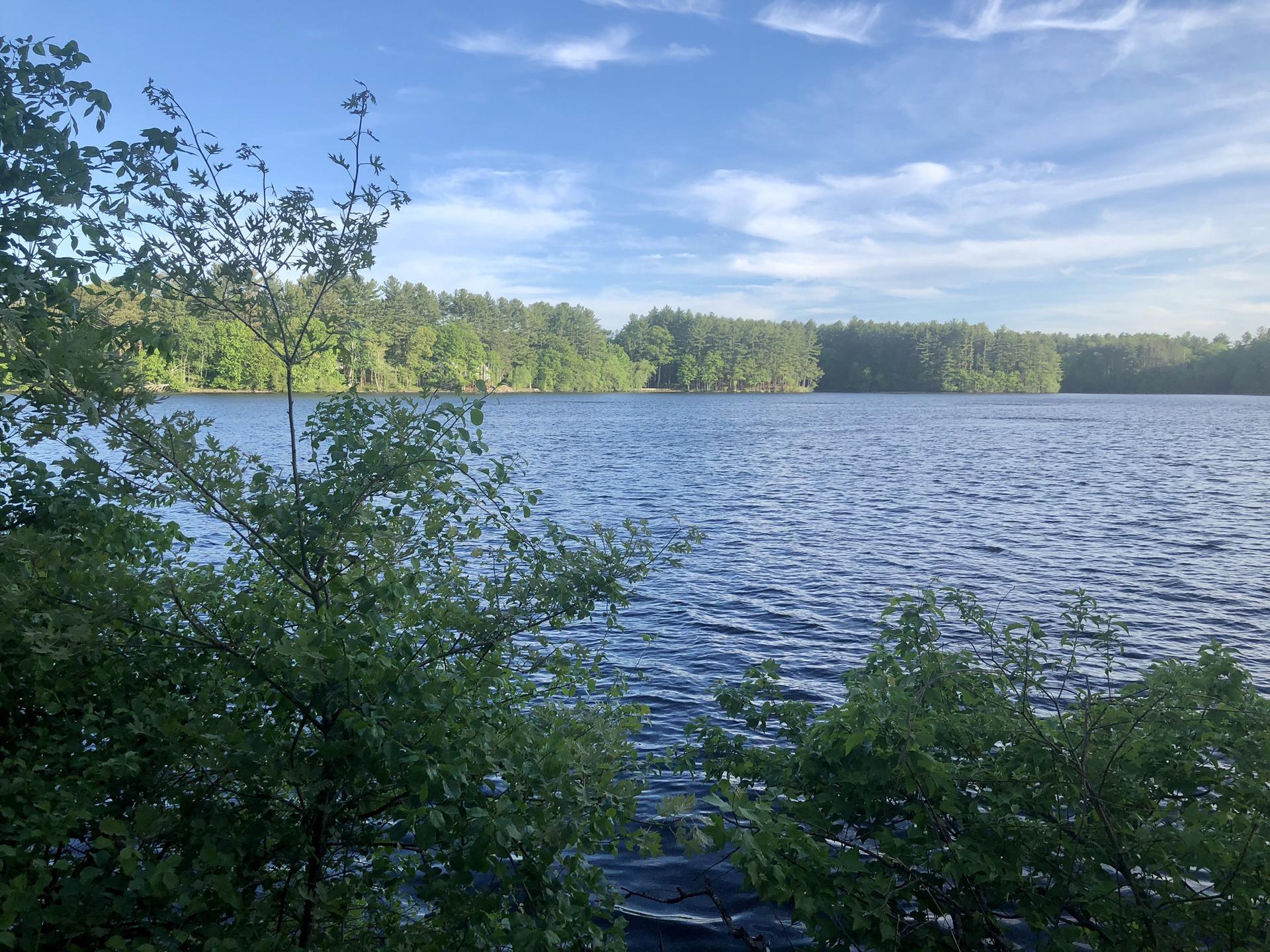 A wide lake with a distant forested shore under a bright blue sky.