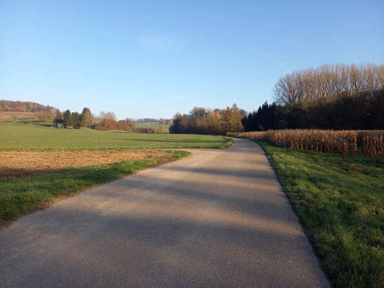 Fahrrad Shop Bruchsal