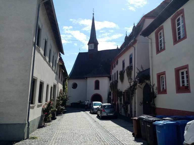 Eltville am Rhein Kurfürstliche Burg Eltville Runde von