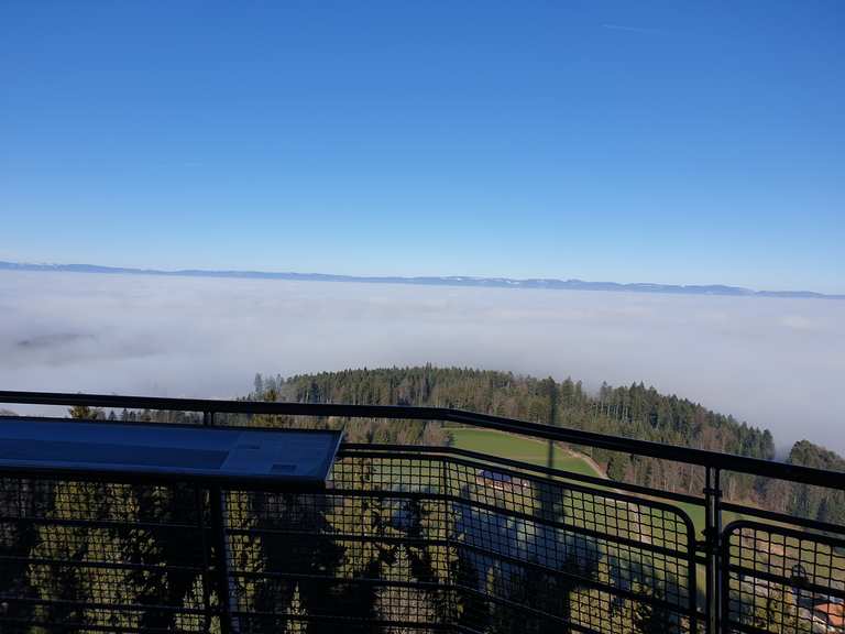 Aussichtsturm Bantiger – Wander- & Radrouten | Komoot