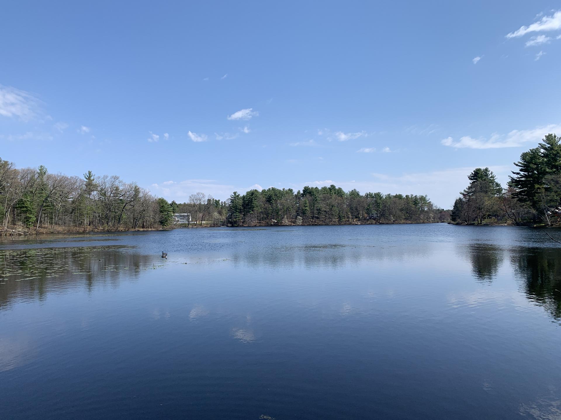 A tranquil lake surrounded by green trees under a clear blue sky.