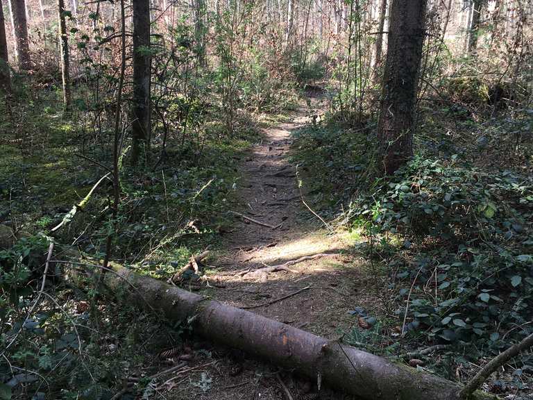 komoot mountain bike