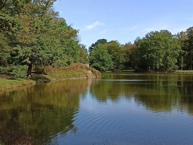 39+ Anlage Teich In Sachsen, Wasser bespannte grundstücke (meist