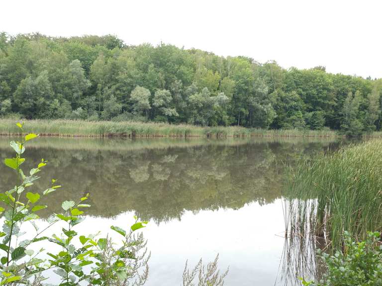 Absinkweiher Fischbachtal - Cycle Routes and Map | Komoot