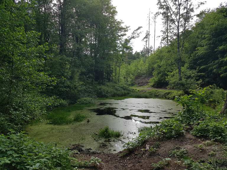 Sieben Teiche Routes for Walking and Hiking Komoot