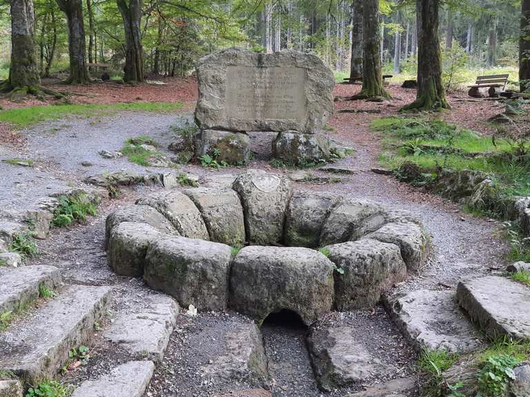 Egerquelle (Rastplatz) MountainbikeTouren und Trails komoot