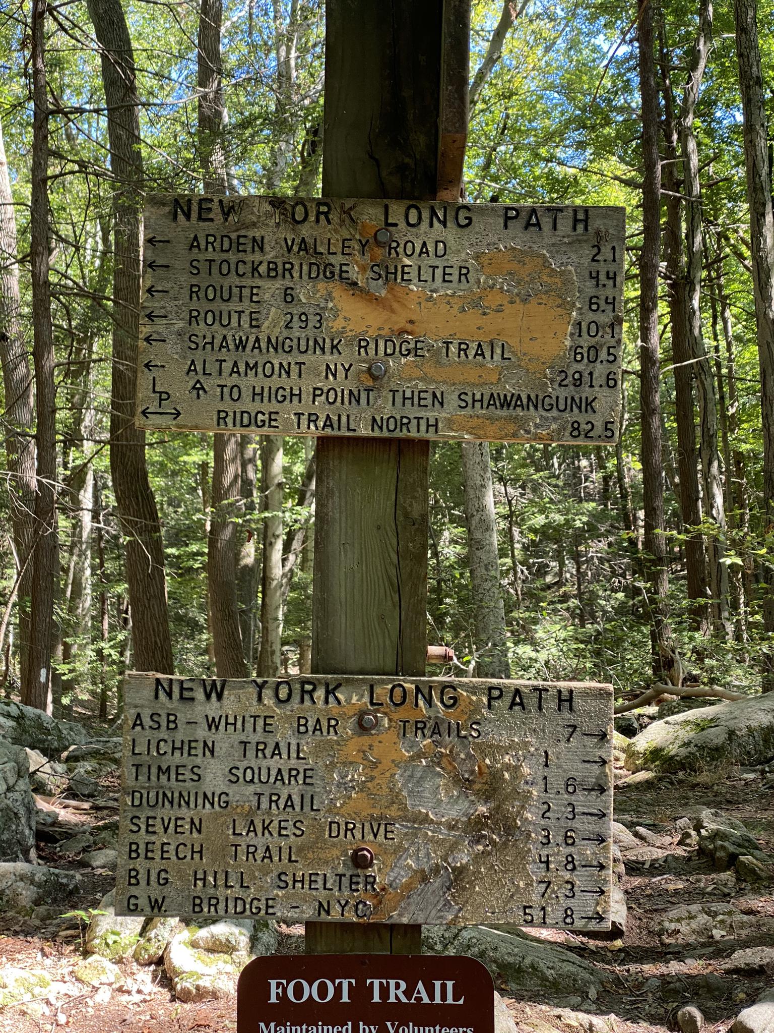 Two weathered wooden trail signs on a post in a sunny forest.
