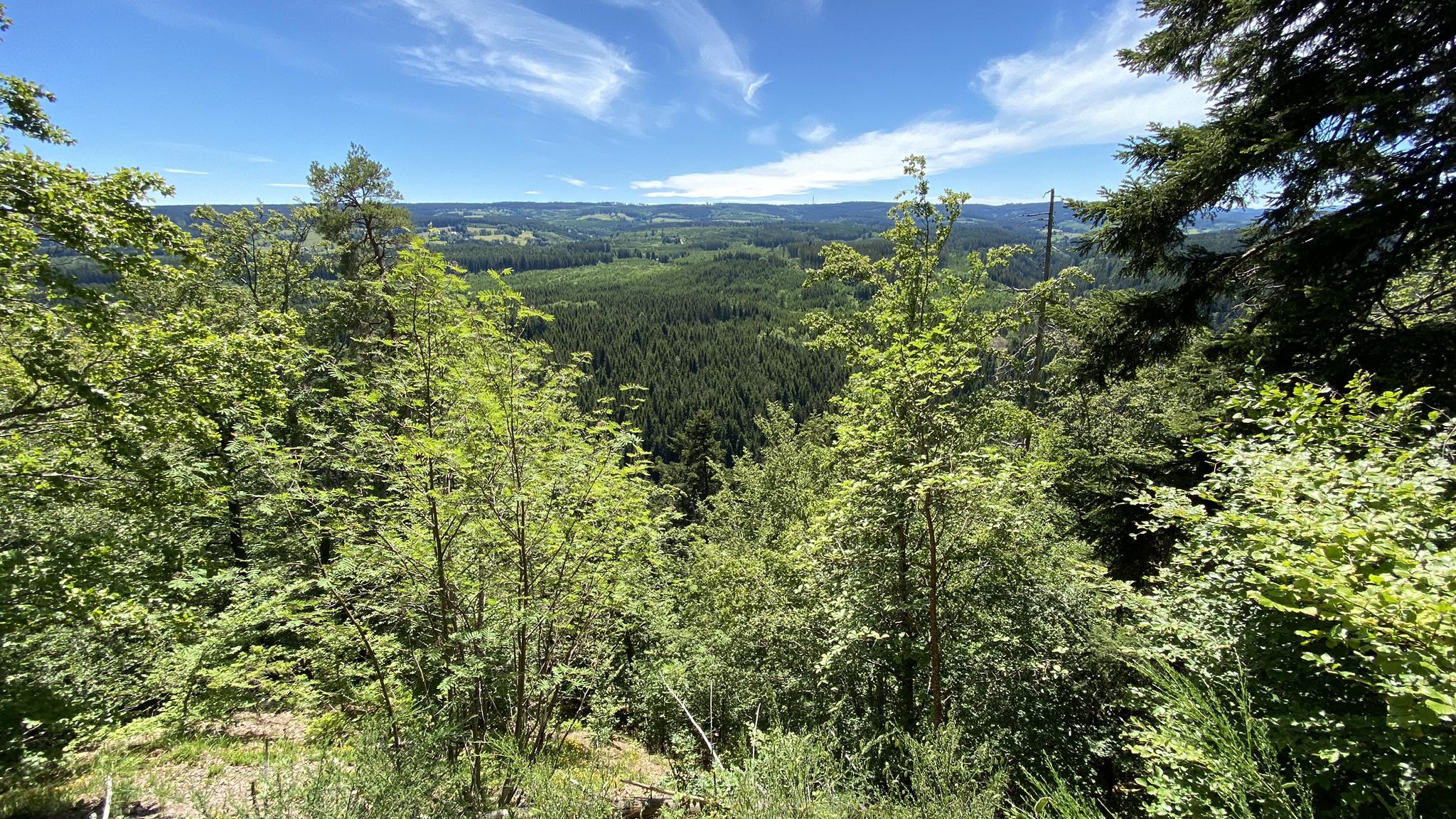 Premiumweg Rötenbachschlucht – Genießerpfade Im Schwarzwald | Wanderung ...