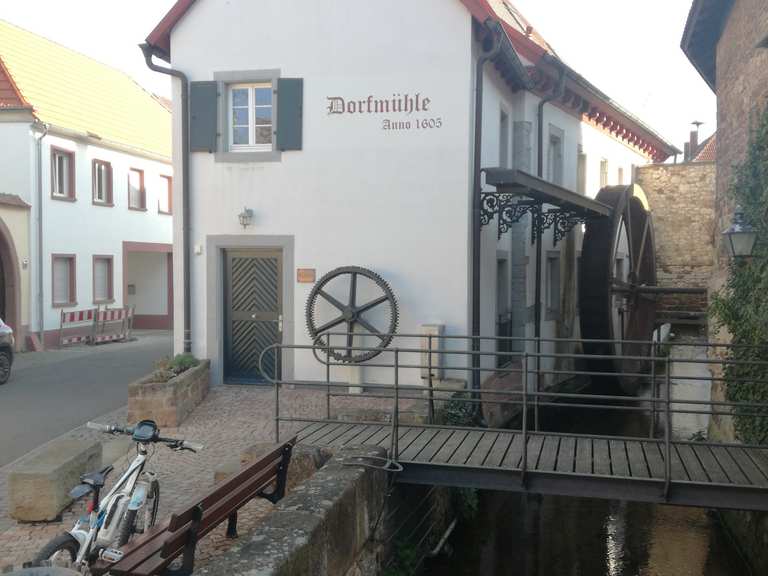 Eckbach Mühlenweg in Großkarlbach Radtouren und Radwege komoot