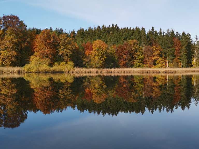 Buchsee, ein idyllischer Badesee mit Schilfgürtel Wanderungen und