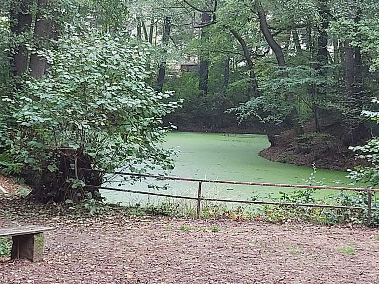 Schwarzes Teich Wanderungen und Rundwege komoot